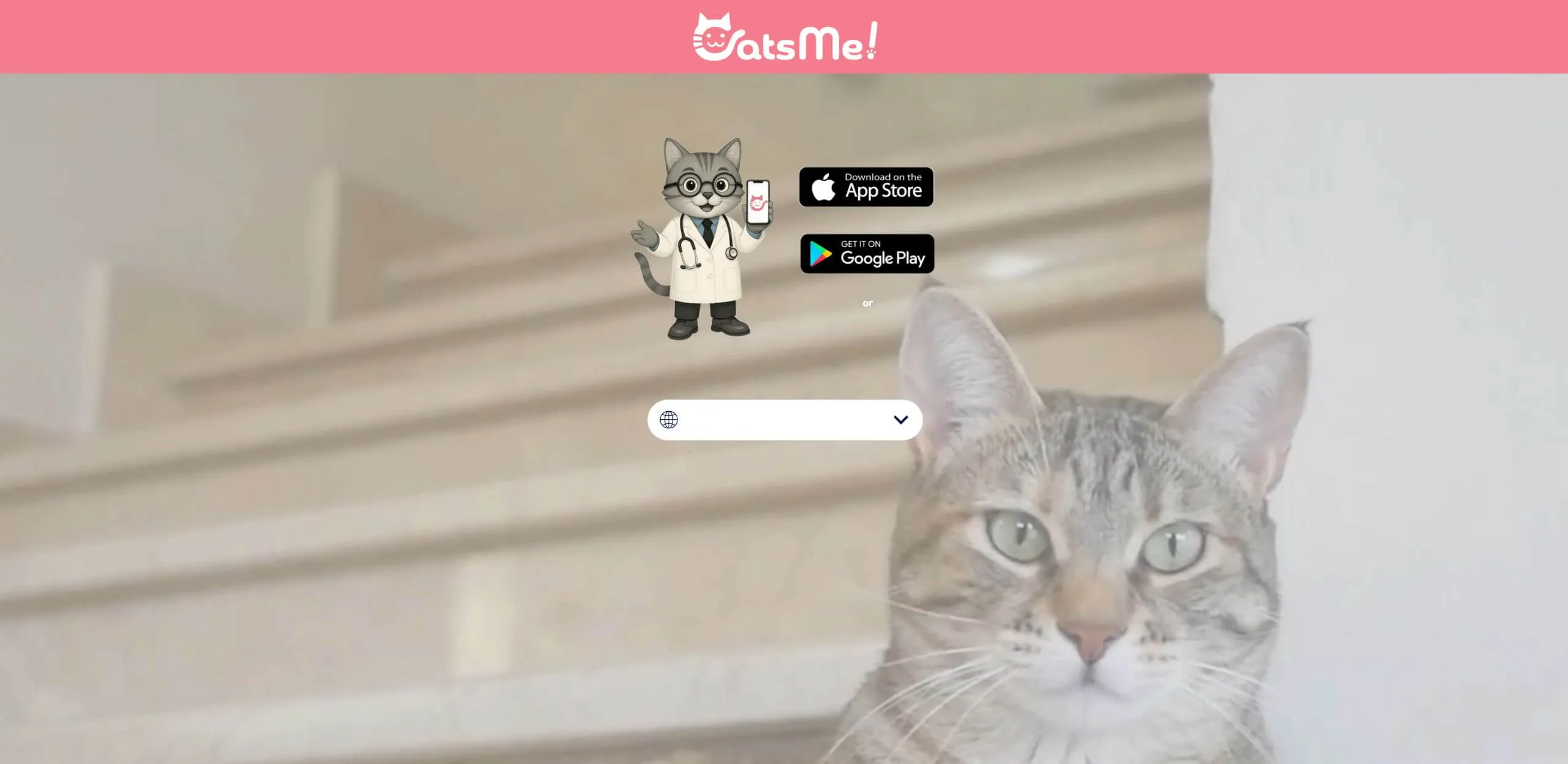 catsme